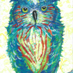 Colorful Owl 1
