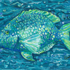 blue fish-gerri