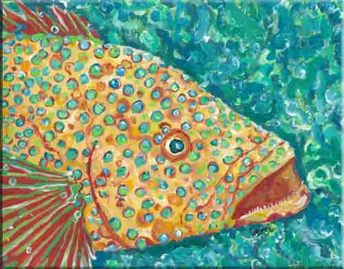 Dotted Grouper